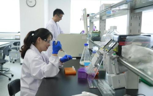 口罩處長(zhǎng) 上海產(chǎn)能爆發(fā)背后的生物化工智慧