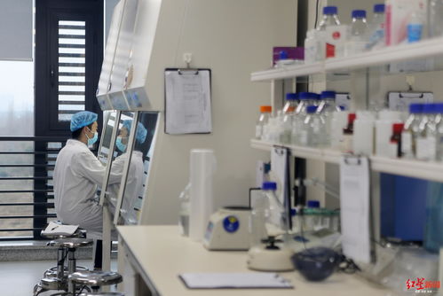 戰(zhàn)疫時(shí)刻，生物化工技術(shù)研發(fā)展現(xiàn)成都真實(shí)城市精神