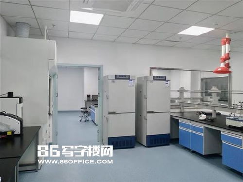 張江藥谷衡谷1976 環(huán)評(píng)齊全3000平可分割試驗(yàn)研發(fā)空間出租