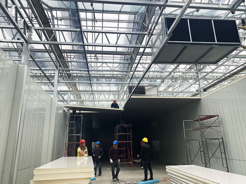 科技賦能農(nóng)業(yè)新愿景 生物化工技術(shù)引領(lǐng)的草莓植物工廠，開啟全年“草莓自由”時(shí)代